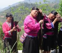 Long Hair Villages